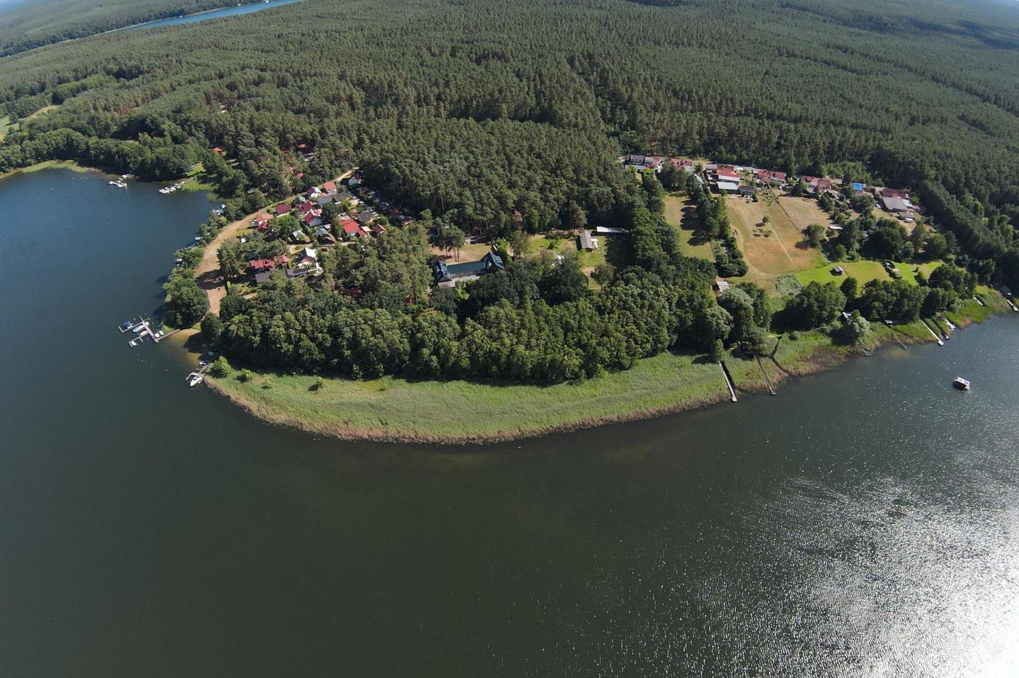 Amsel Rheinsberg